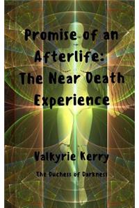 Promise of an Afterlife: The Near Death Experience