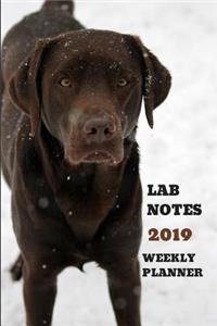 Lab Notes 2019 Weekly Planner