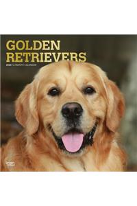 Golden Retrievers 2020 Square Foil