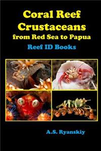 Coral Reef Crustaceans