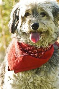 Dog In A Scarf Notebook