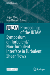 Proceedings of the Iutam Symposium on Turbulent/Non-Turbulent Interface in Turbulent Shear Flows