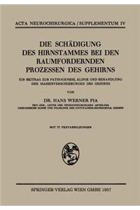 Die Schädigung des Hirnstammes bei den Raumfordernden Prozessen des Gehirns