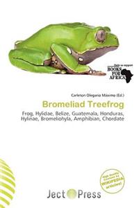 Bromeliad Treefrog