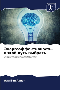 Энергоэффективность, какой путь выбрать