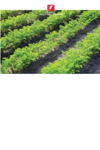 Agroingenius