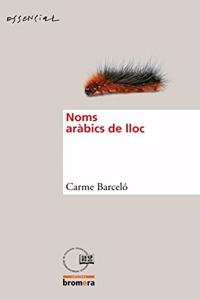 Noms arabics de lloc