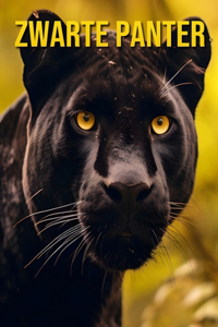 Zwarte Panter