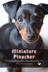 Miniature Pinscher
