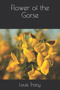 Flower of the Gorse