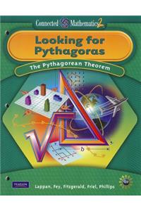 Looking for Pythagoras: The Pythagoras Theorem