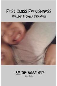 First Class Foolishness Volume 1 Single Parenting