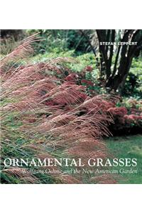 Ornamental Grasses