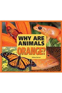 Why are Animals Orange?