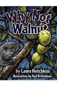 Why Not Walnut