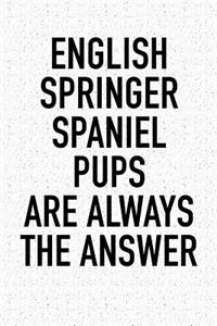 English Springer Spaniel Pups Are Always the Answer