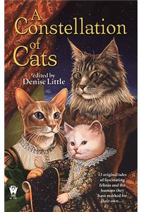 A Constellation of Cats