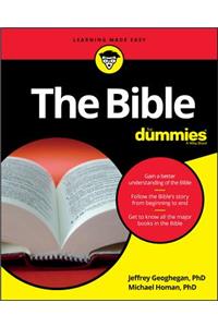 Bible for Dummies