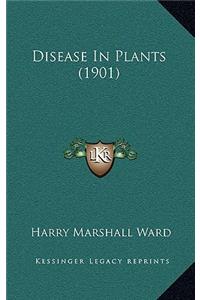 Disease in Plants (1901)