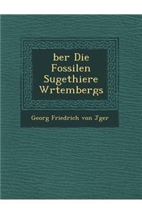 Ber Die Fossilen S Ugethiere W Rtembergs