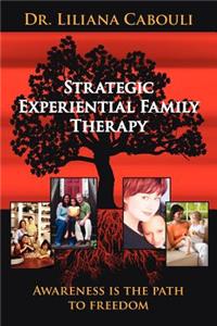 Strategic Experiential Family Therapy