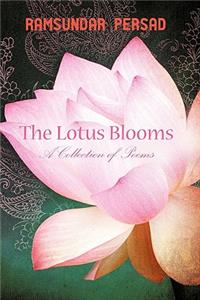 Lotus Blooms