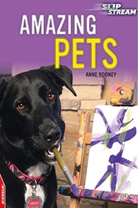 Amazing Pets