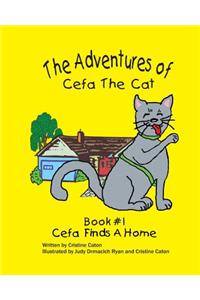 The Adventures of Cefa the Cat: Cefa Finds a Home