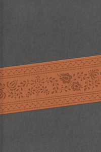 RVR 1960 Biblia Letra Grande Tamaño Manual, gris/marrón edición símil piel con cierre