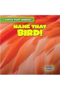 Name That Bird!