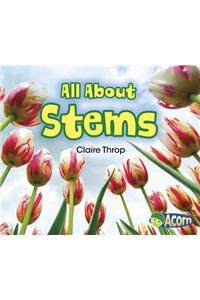 All about Stems