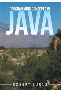 Programming Concepts In Java