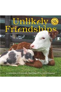 Unlikely Friendships Wall Calendar 2020