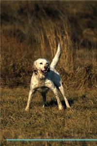 English Setter Affirmations Workbook English Setter Presents