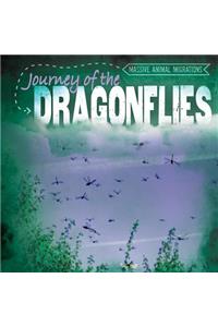 Journey of the Dragonflies
