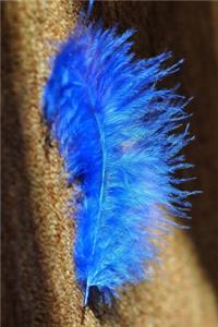A Beautiful Blue Feather Journal