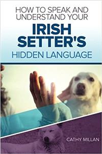 How to Speak and Understand Your Irish Setter's Hidden Language