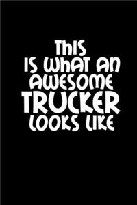 This is what an awesome trucker looks like