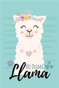 No Drama Llama Journal