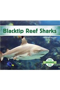Blacktip Reef Sharks