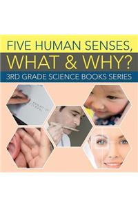 Five Human Senses, What & Why?