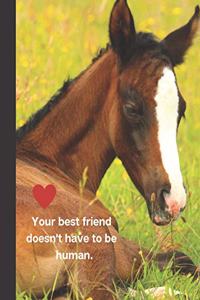 Your best friend doesn't have to be human