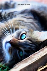 Chat Carnet de notes