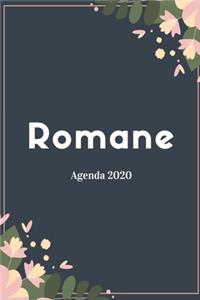 Romane Agenda 2020