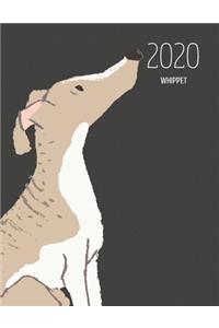 2020 Whippet