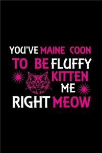 You've Maine Coon to be fluffy kitten me right meow