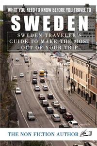 What You Need to Know Before You Travel to Sweden