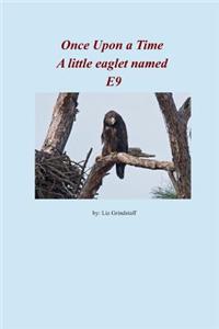 Once Upon a Time a Little Eaglet Named E9