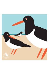 I Like Birds: Oyster Catcher Boxed Notecards