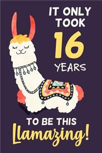 It Only Took 16 Years to Be This Llamazing!